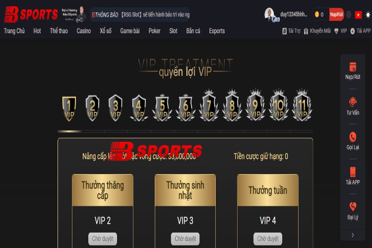 Giới thiệu Bsport