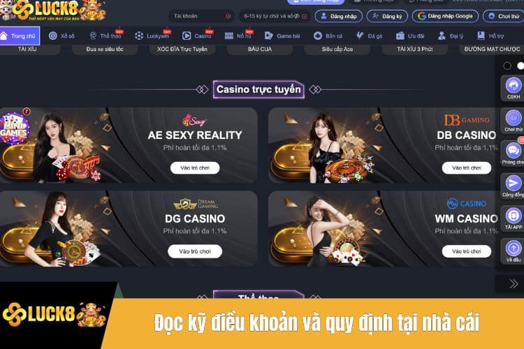 Đọc kỹ điều khoản và quy định tại nhà cái