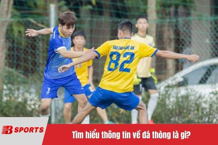 Tìm hiểu thông tin về đá thòng là gì?